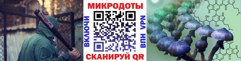 магазин продажи наркотиков  Кяхта  omg зеркало  Галлюциногенные грибы Magic Shrooms 